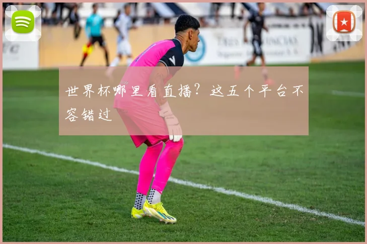 世界杯哪里看直播？这五个平台不容错过