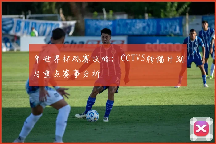 年世界杯观赛攻略：CCTV5转播计划与重点赛事分析