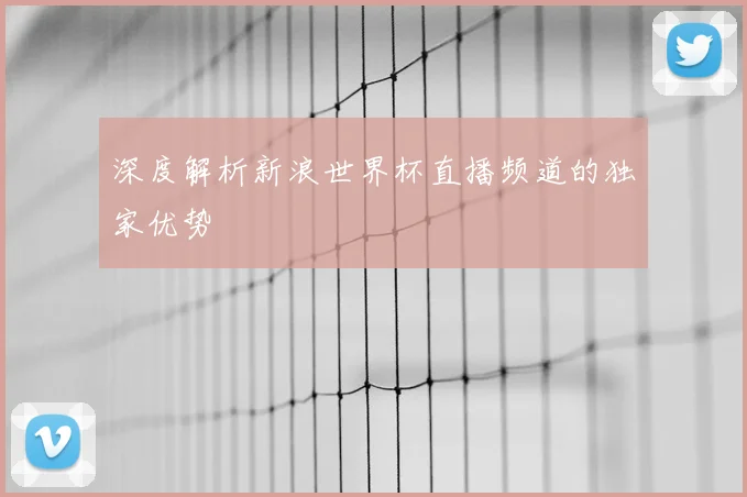 深度解析新浪世界杯直播频道的独家优势