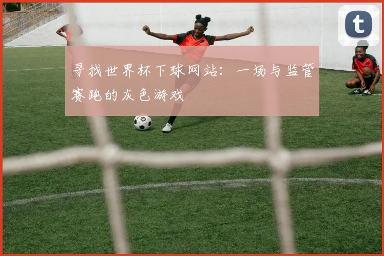 寻找世界杯下球网站:一场与监管赛跑的灰色游戏